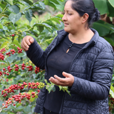 LA PALTA - PERU