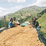 SHYIRA NATURAL - RWANDA