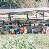SHYIRA NATURAL - RWANDA