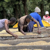 KIENI - KENYA