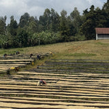 KIENI - KENYA